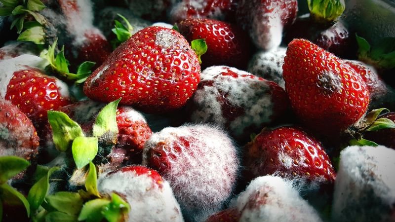 Soft Fruits and Vegetables