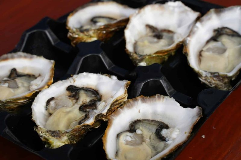 Raw Oysters: Delicacy with a Deadly Risk