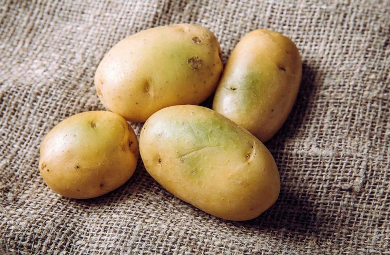 Green Potatoes: The Nightshade's Warning