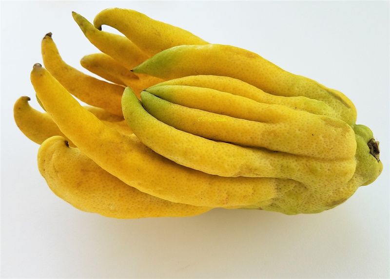 Buddha's Hand