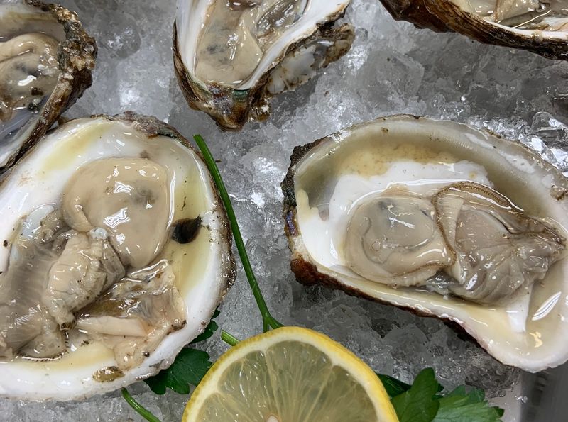 Seafood and Shellfish