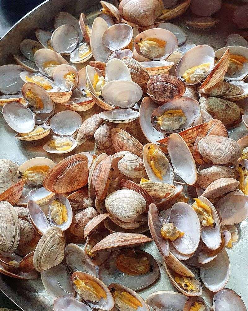 Shellfish Surprises