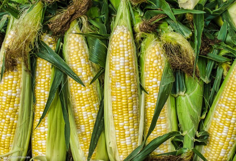 Sweet Corn