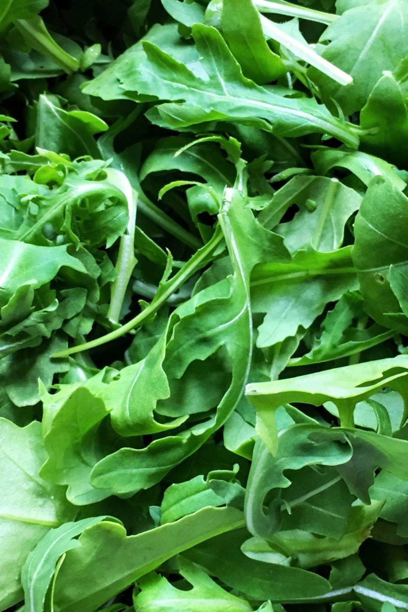 Arugula