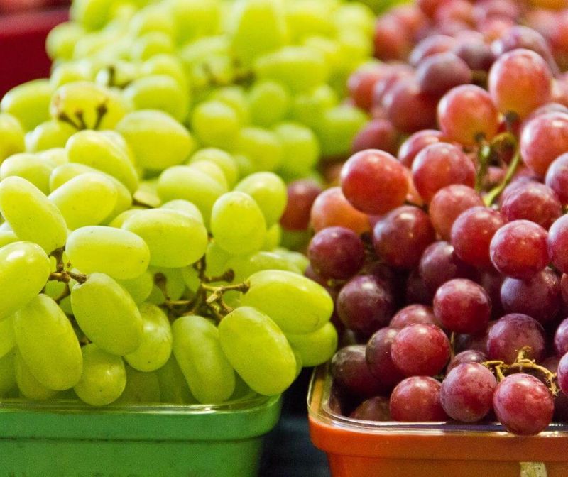 Grapes - Tiny Packages of Protection