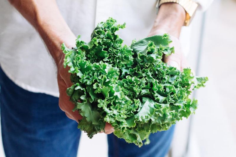 Kale's Contamination Crisis