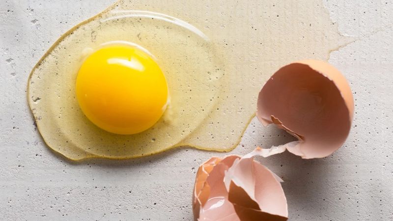 High Cholesterol Content