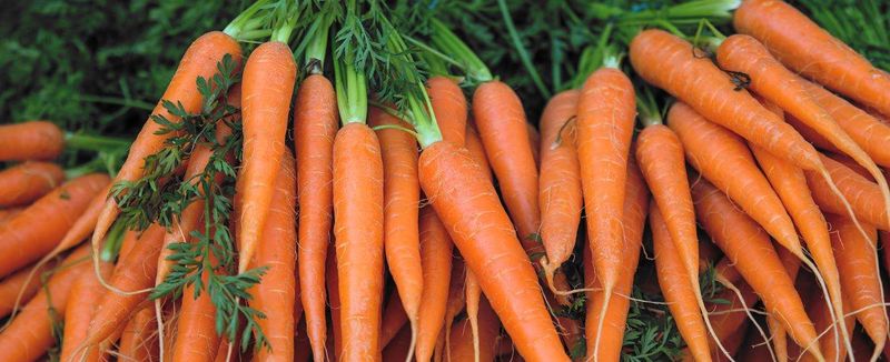 Carrots