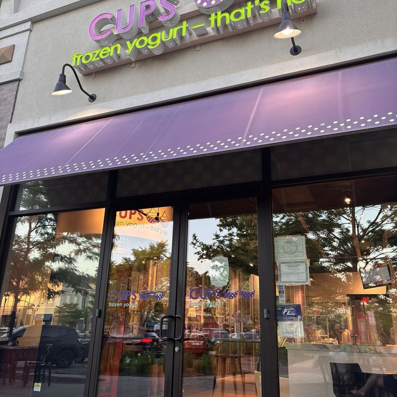 Cups Frozen Yogurt