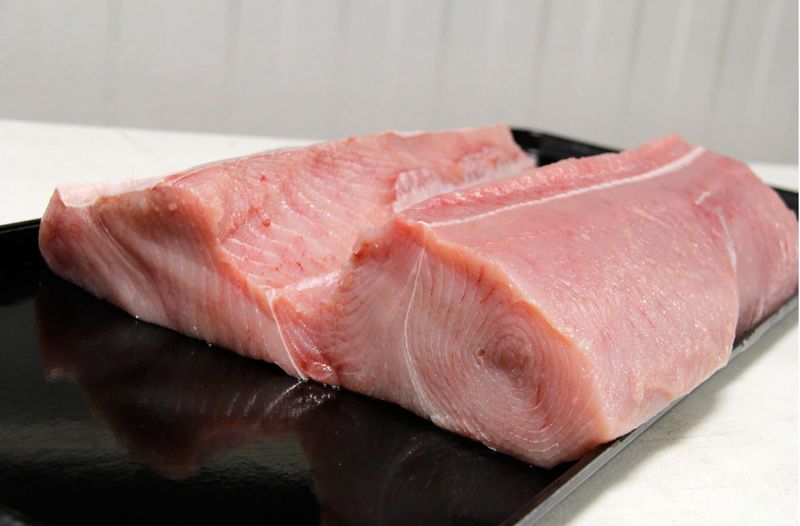Shark Meat Steaks