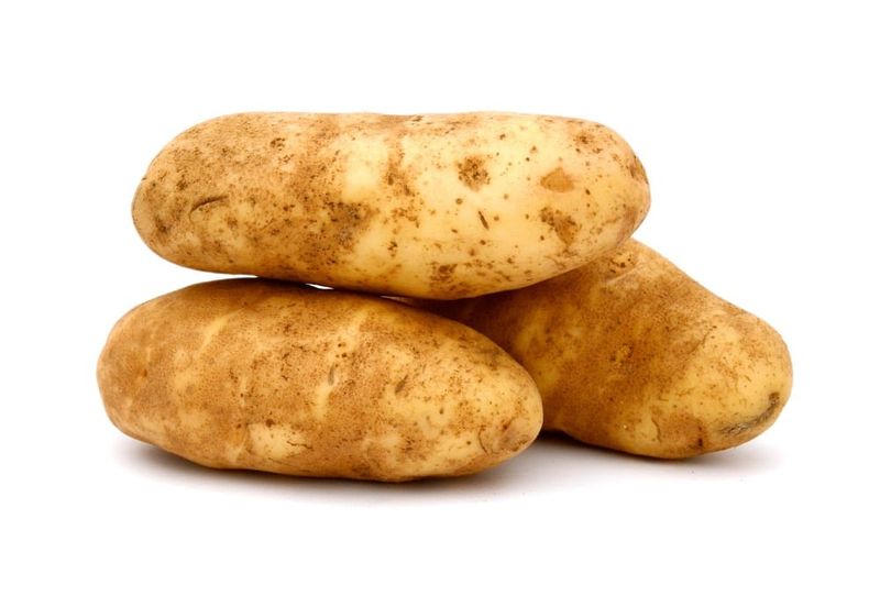 Russet Burbank Potato Monopoly