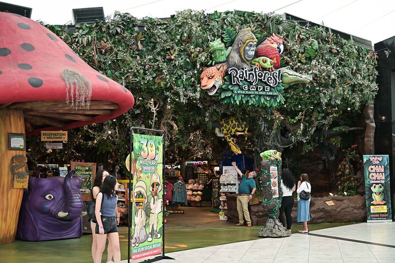Rainforest Cafe (original locations)