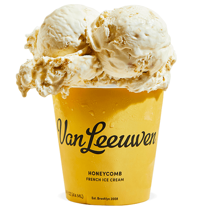 Van Leeuwen Elevated Simplicity