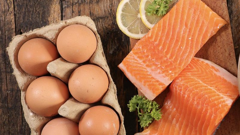 Salmon