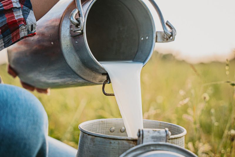 Unpasteurized Dairy