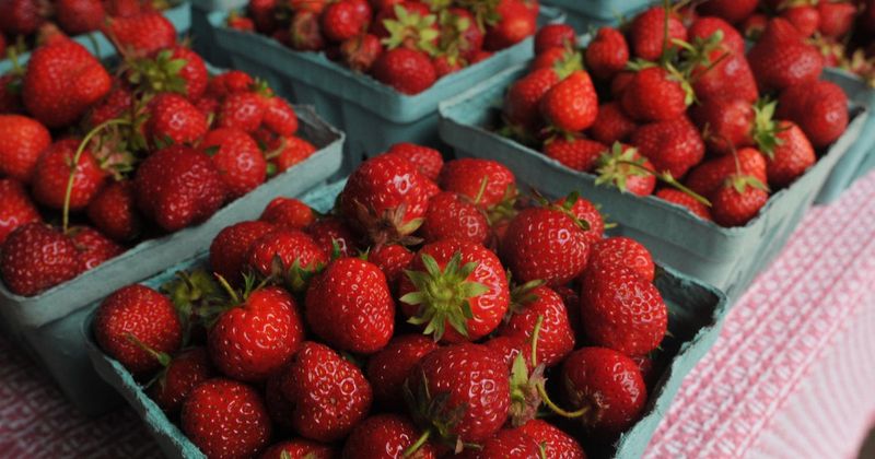 Overpriced Organic Produce
