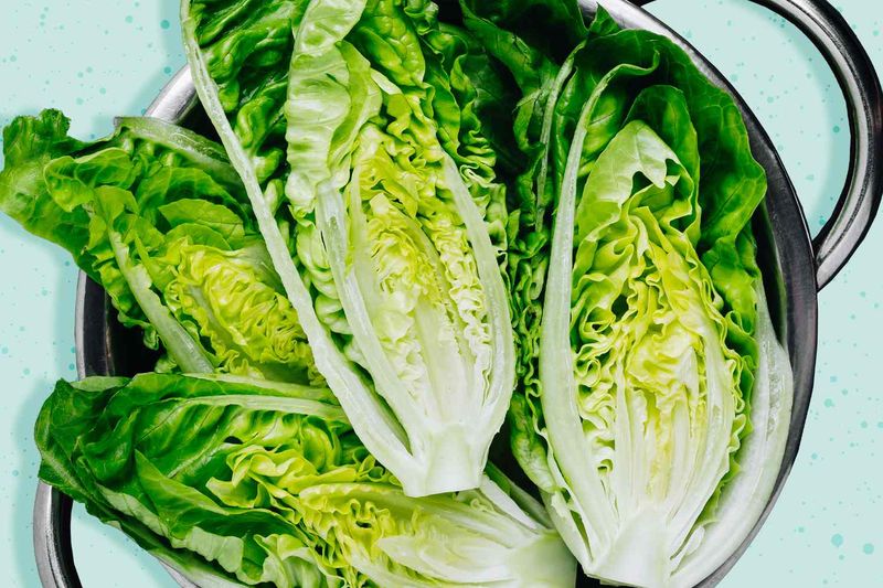 Romaine