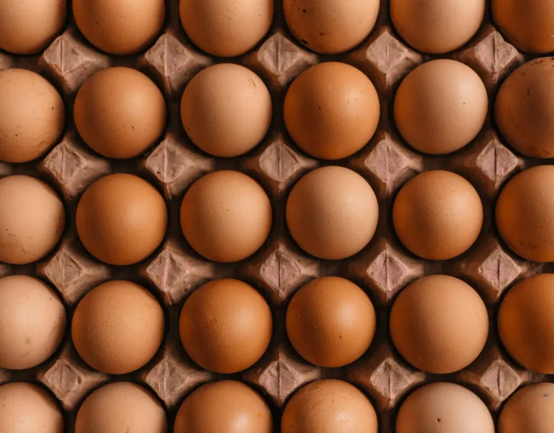 Versatile Eggs