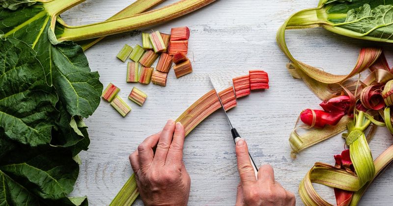 Rhubarb Leaves: The Toxic Top