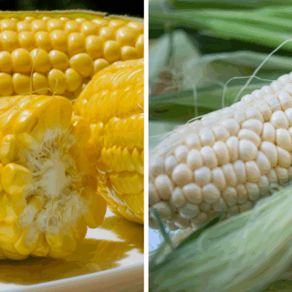 Yellow vs. White Corn The Surprising Differences—Explained by a Farmer Who Grows Both