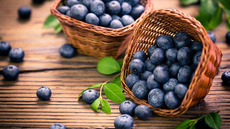 Blueberries - Nature's Memory Boosters