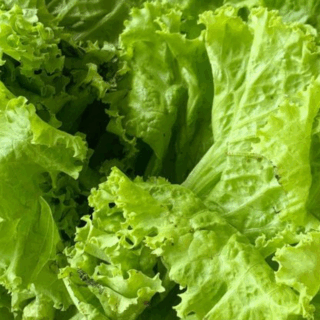 When It Comes to Food Poisoning, These 5 Foods Are the Worst Offenders, According to Experts