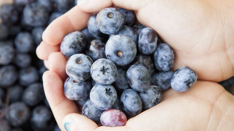 Blueberry Magic for Youthful Skin