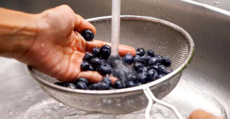 12 Common Blueberry Mistakes That Are Ruining Them Before You Even Take a Bite