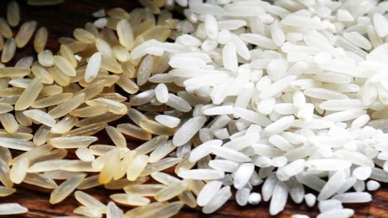 Mystery Grains Masquerading as Premium Rice