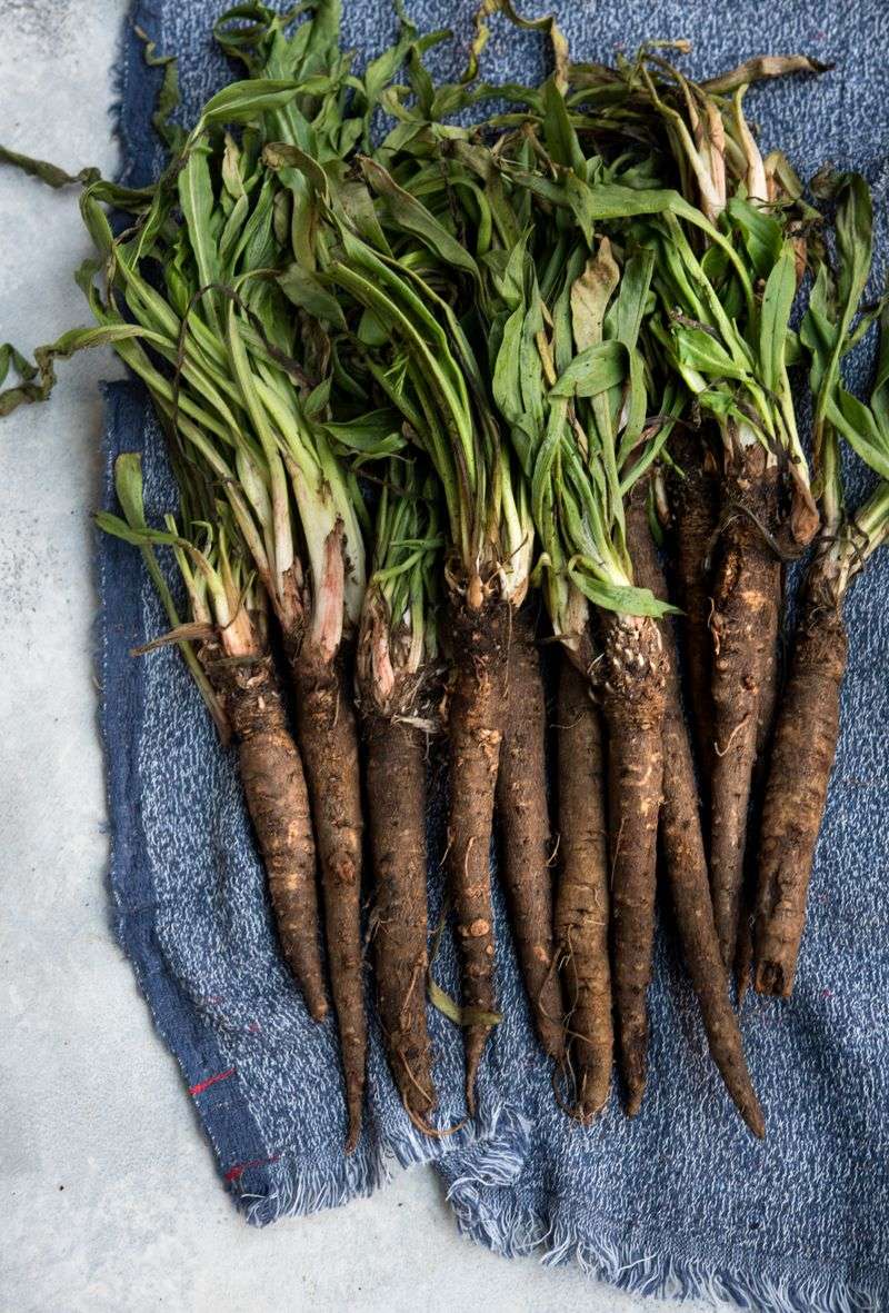 Salsify: The Oyster-Flavored Root