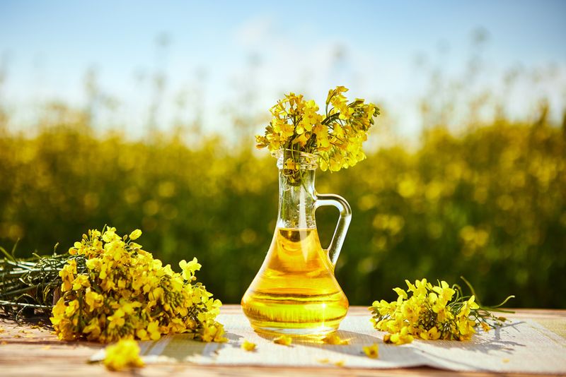3. Canola Oil