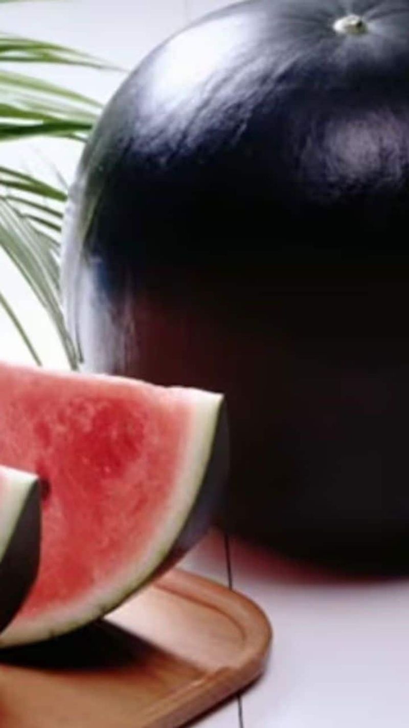 Densuke Black Watermelon from Japan