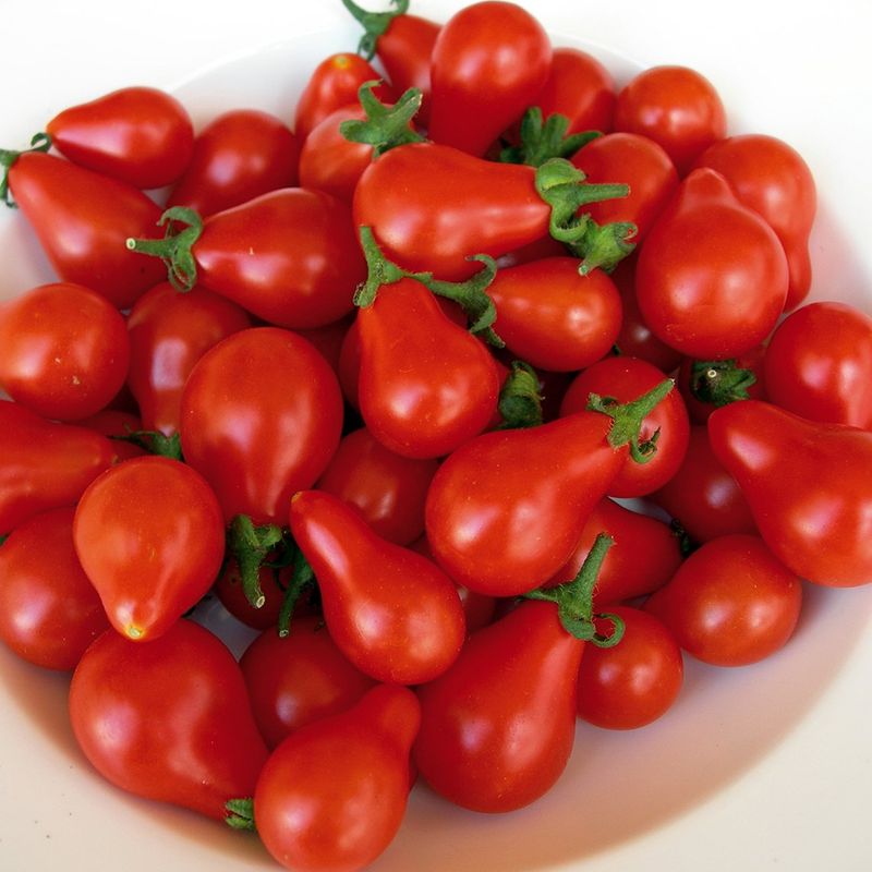 Tomato Fig