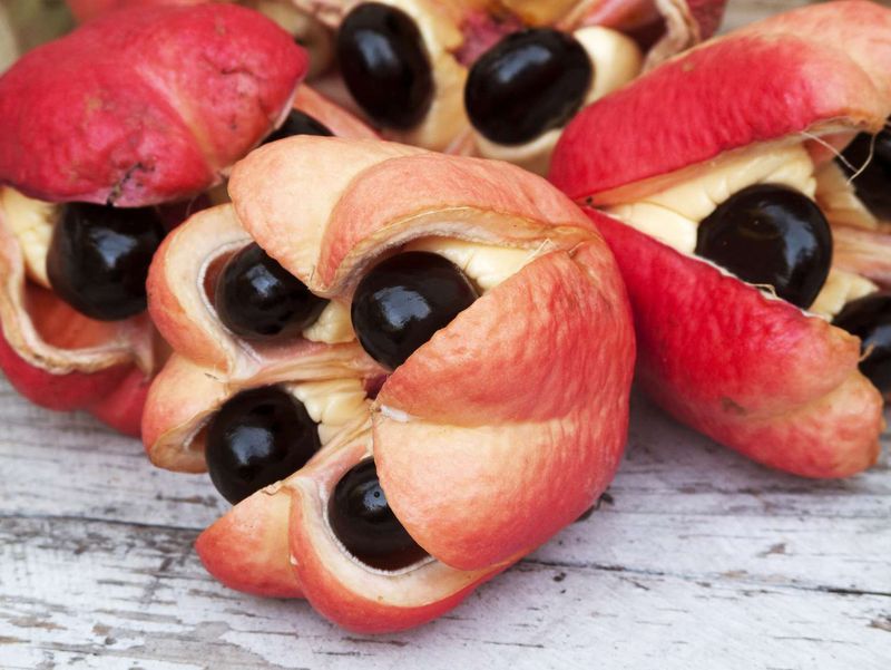 Pod-Like Ackee Fruit