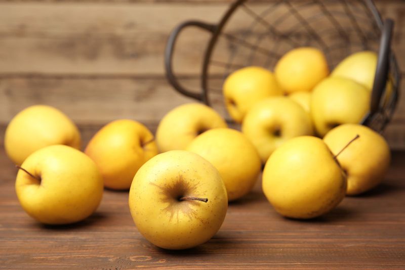 Golden Apples