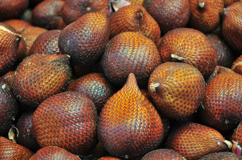 Reptilian Snake Fruit