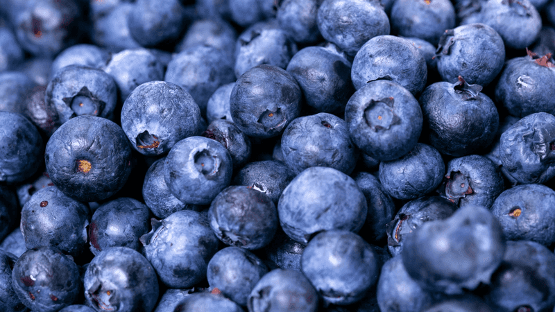 Blueberries: Tiny Blue Bombs of Pesticide Residue