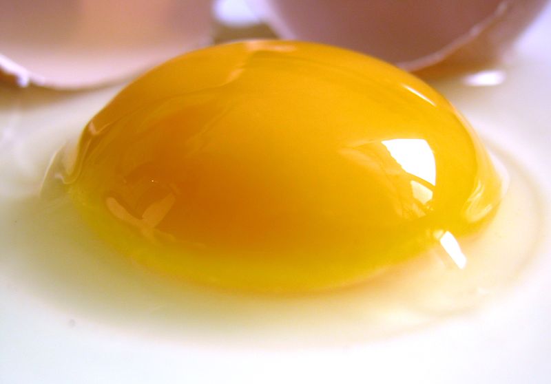 Egg Yolks