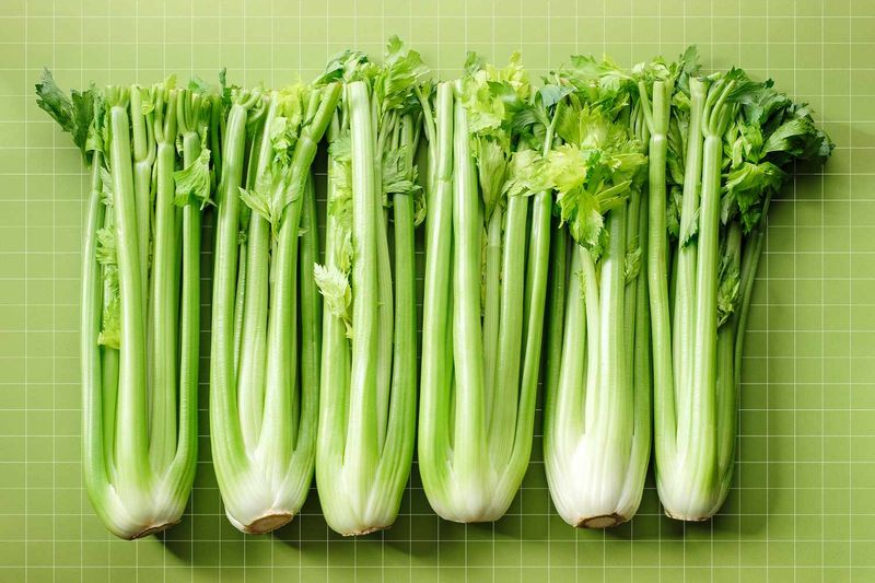 Celery - The Negative Calorie Miracle