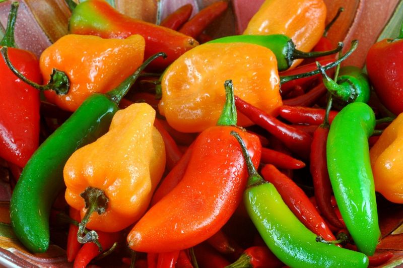Spicy Chili Peppers