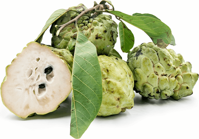 Custard Apple