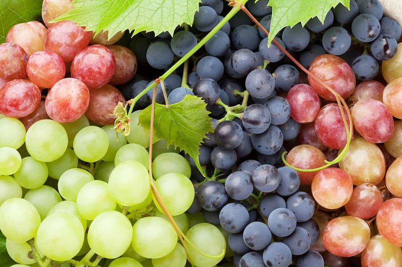 Seedless Grapes: Crunchy Summer Snackers