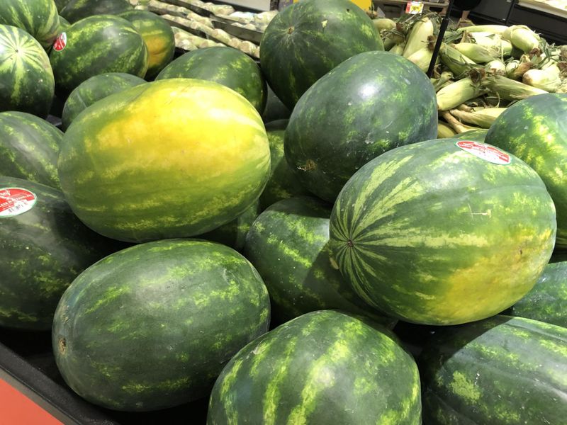 AVOID: Watermelons with Pale Field Spots