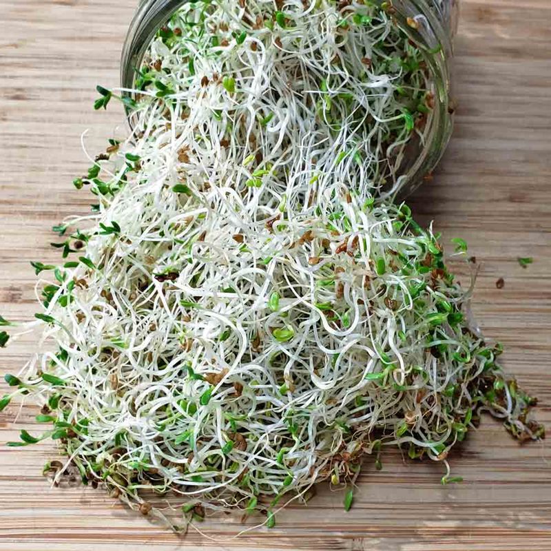 Fresh Sprouts