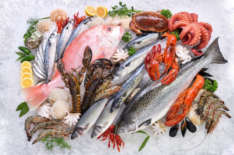 Seafood and Fish