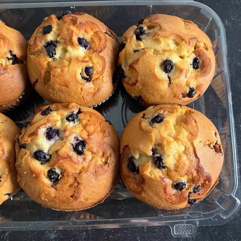 Blueberry - Classic Done Right