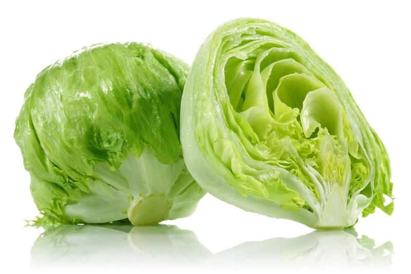 Refreshing Iceberg Lettuce