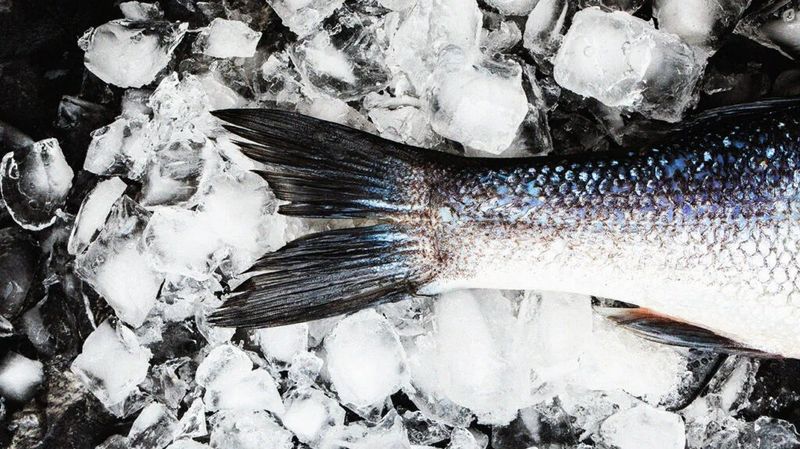 Seafood