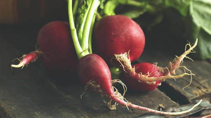 Radishes: The Peppery Metabolic Boosters