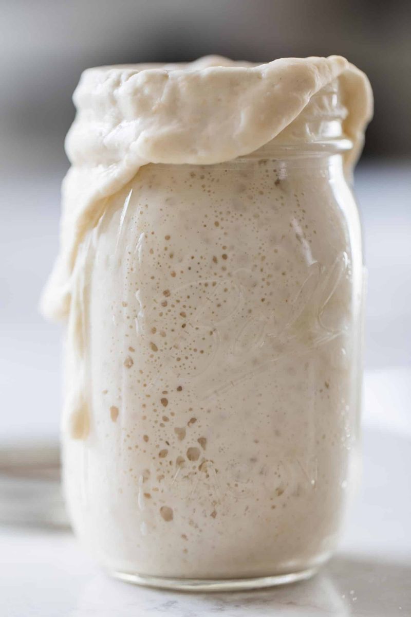 Sourdough Starter: The Living Kitchen Companion